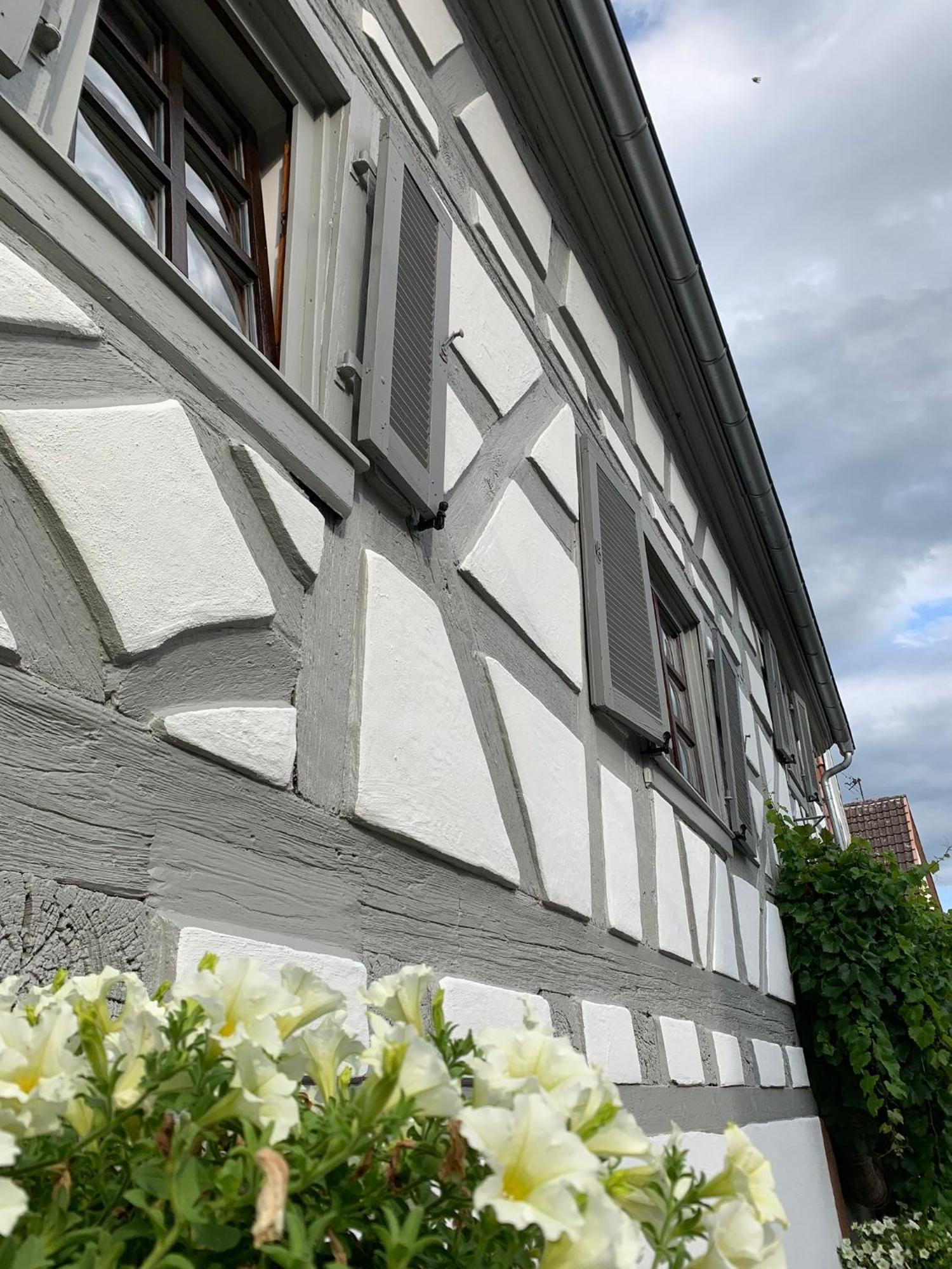 Ferienwohnung Sambachhaus Gleiszellen-Gleishorbach Exterior foto